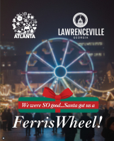 Ferris Wheel